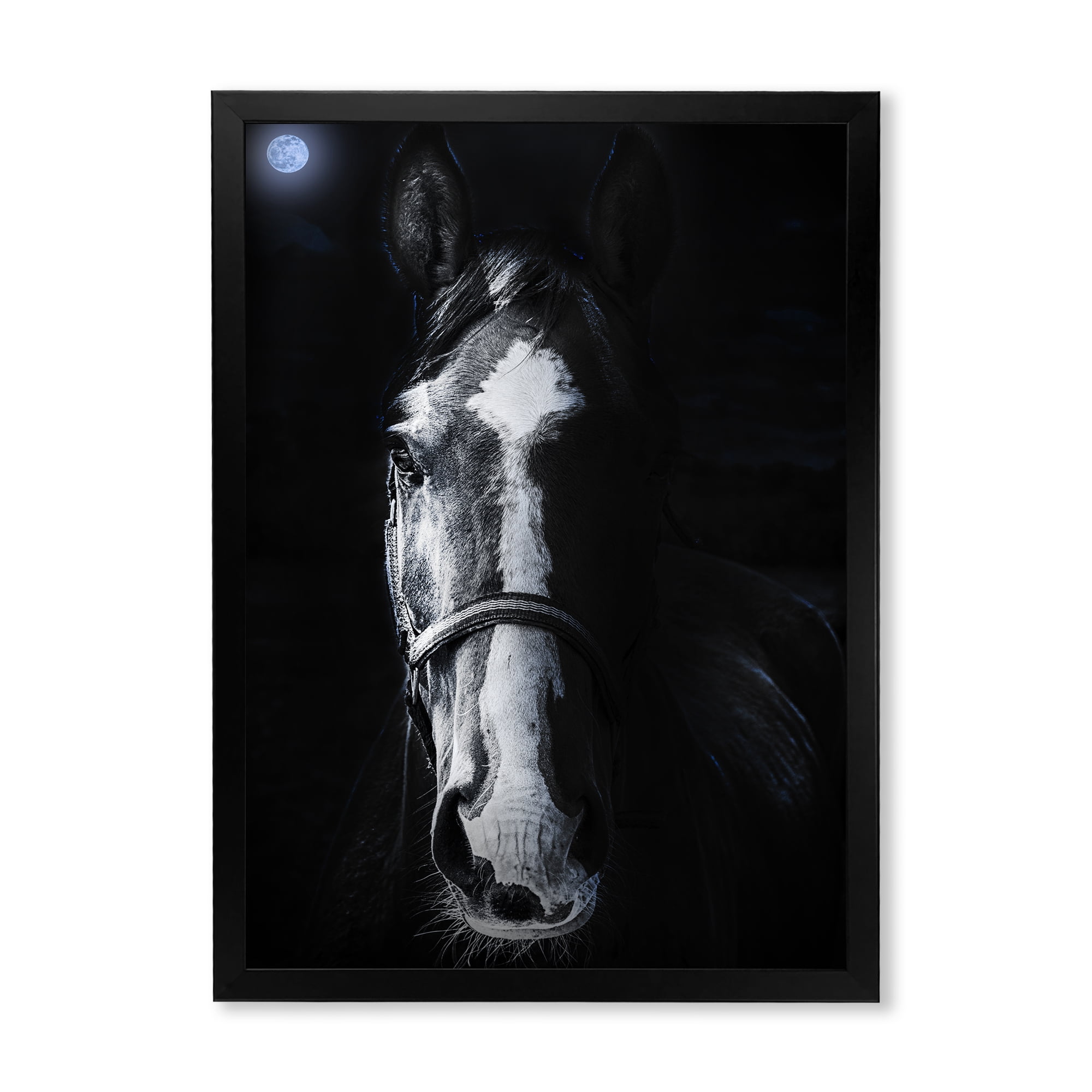 Portrait of Horse Staring Sinister 24 in x 32 in Framed Photography Canvas Art Print, by Designart