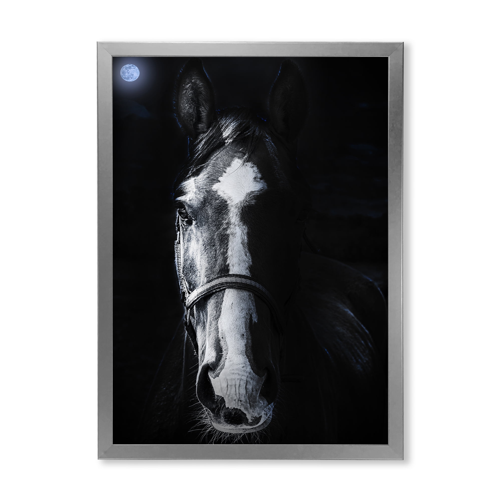 Portrait of Horse Staring Sinister 24 in x 32 in Framed Photography Canvas Art Print, by Designart