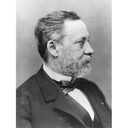 Portrait of Louis Pasteur, Unframed Photographic Print Wall Art by Nadar Sold by ArtCom