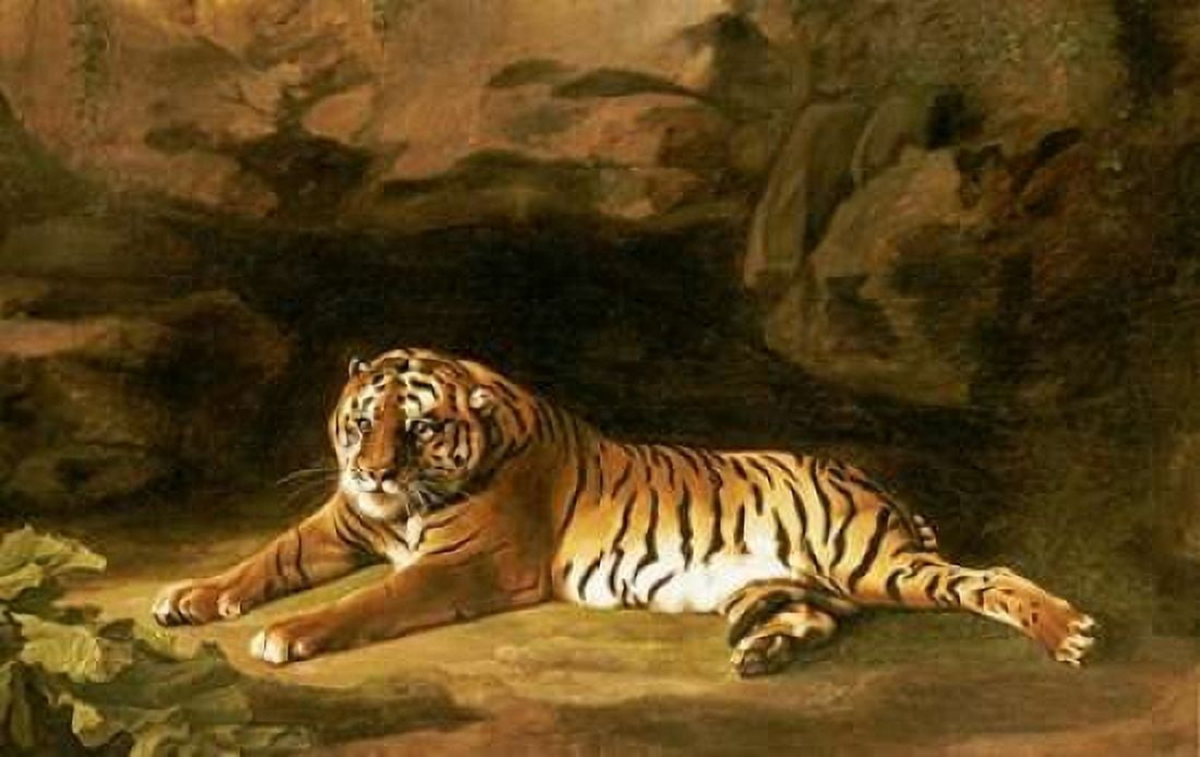 Portrait of The Royal Tiger Canvas Art - George Stubbs (12 x 18)