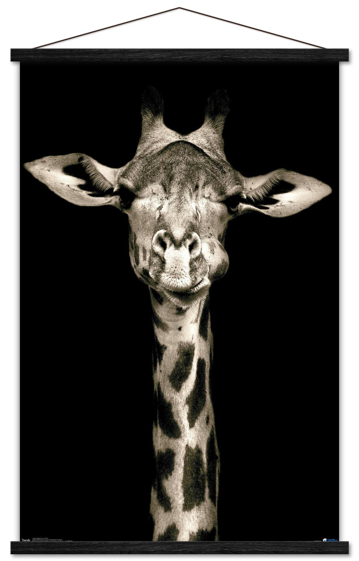 Portrait of a Giraffe Wall Poster with Wooden Magnetic Frame, 22.375" x 34"