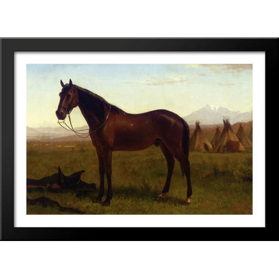 Portrait of a Horse 40x28 Large Black Wood Framed Print Art by Albert Bierstadt