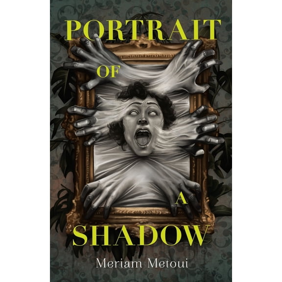 Pre-Owned Portrait of a Shadow (Hardcover) 1250863279 9781250863270