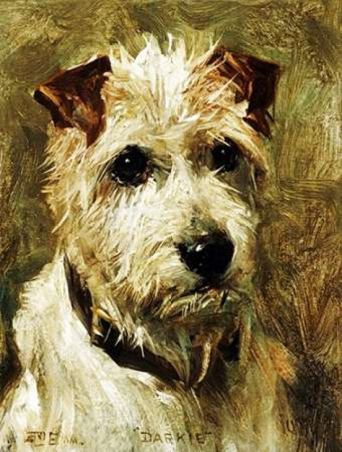 Portrait of a Terrier Darkie Canvas Art - John Emms (22 x 28)