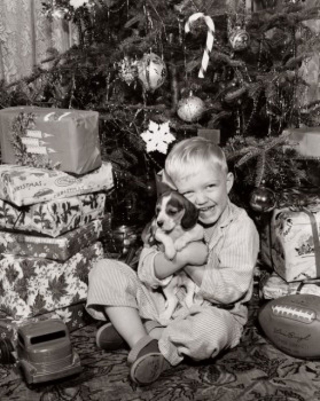Portrait of a boy sitting near Christmas presents and hugging his puppy Canvas Art - (24 x 36)