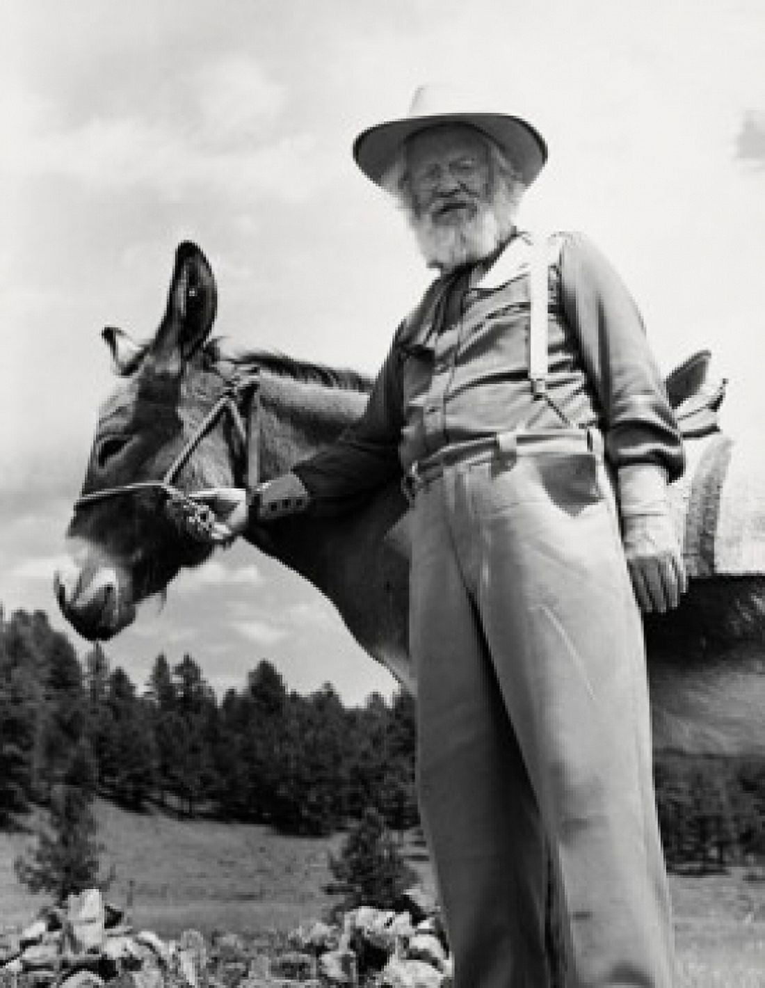 Portrait of a senior man with a donkey Canvas Art - (24 x 36)
