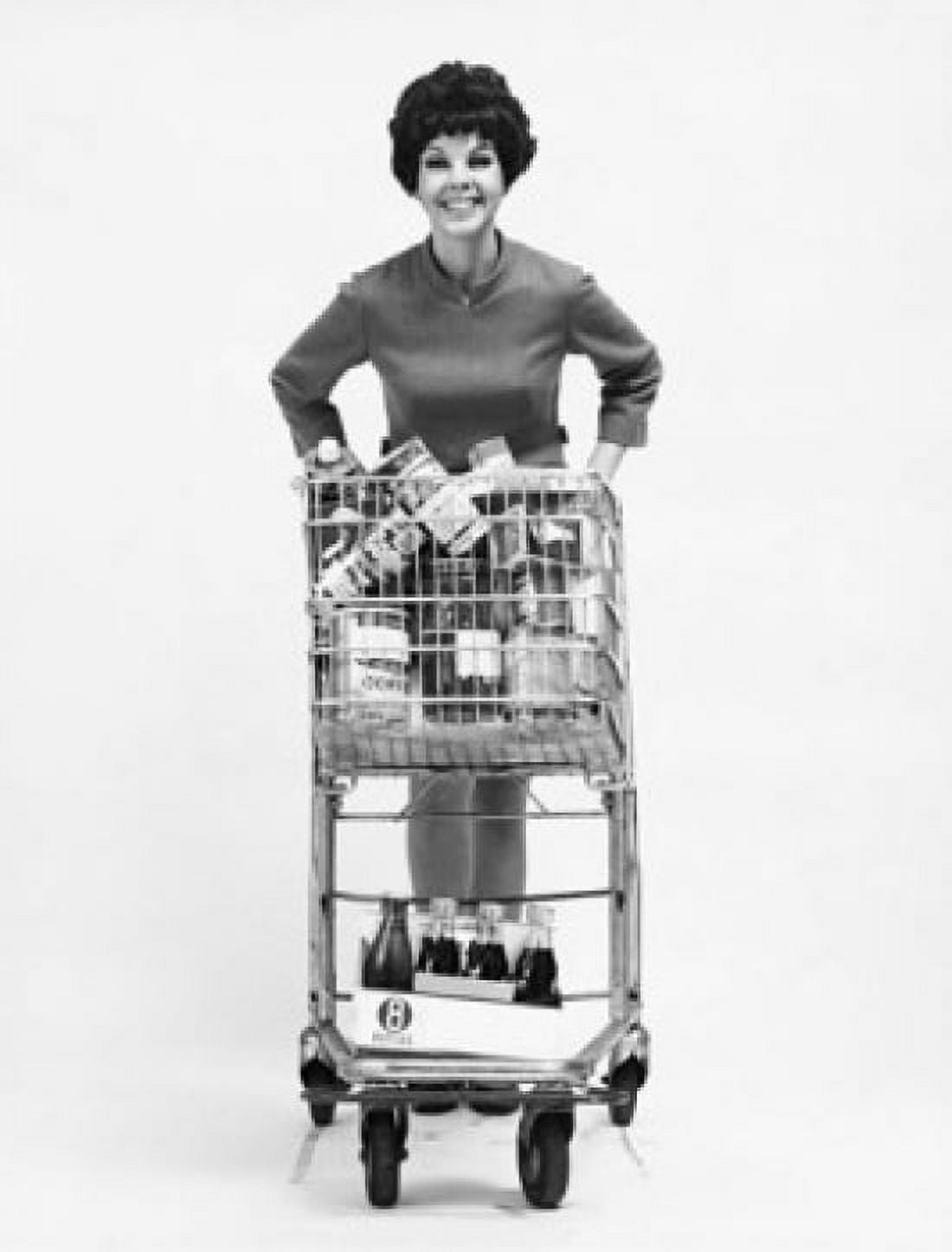 Portrait of a young woman holding a shopping cart Canvas Art - (18 x 24)