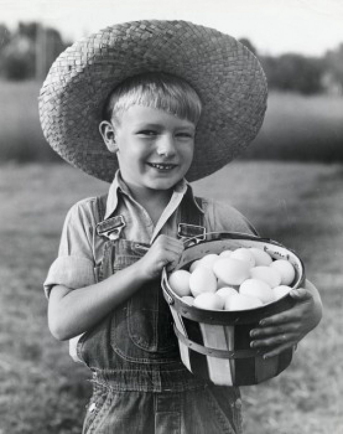 Portrait of boy holding bucket of eggs Canvas Art - (18 x 24)