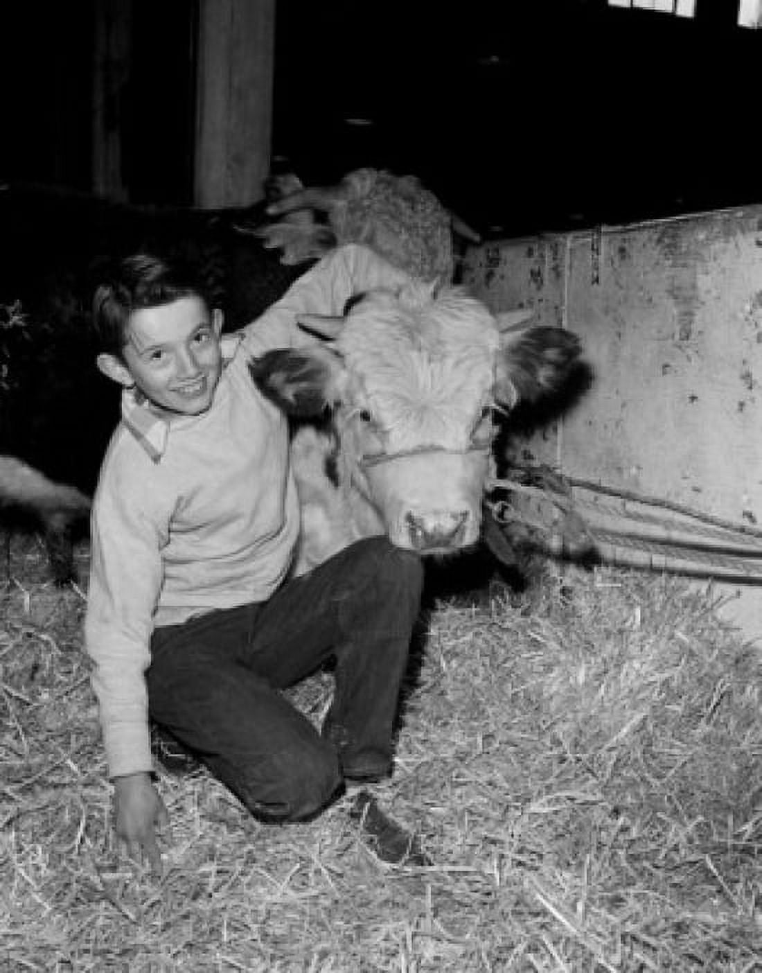 Portrait of boy with bull in barn Canvas Art - (24 x 36)