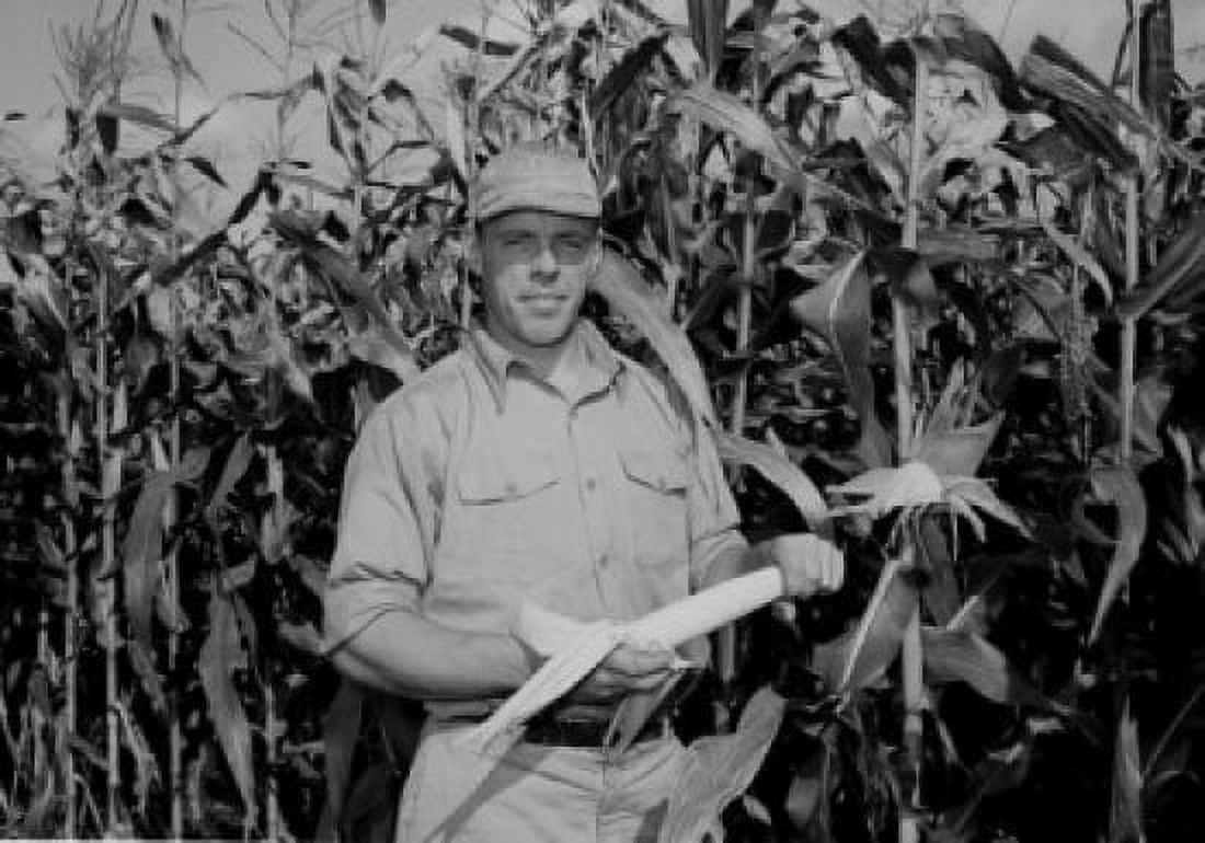 Portrait of farmer in corn field Canvas Art - (18 x 24)
