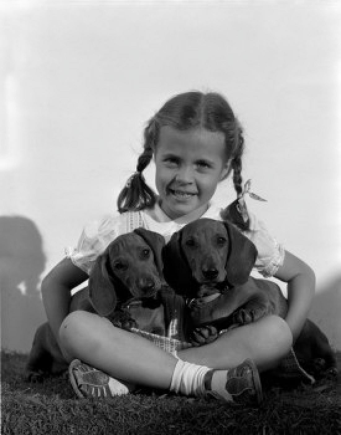 Portrait of girl with two dachshund puppies on her laps Canvas Art - (18 x 24)
