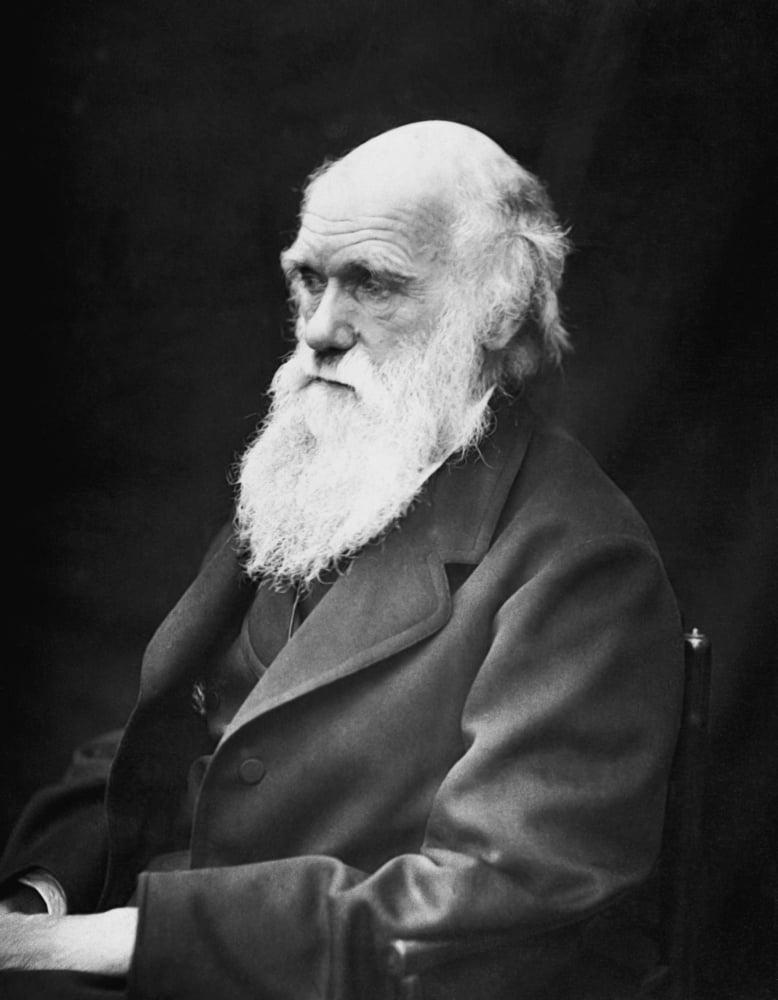 Portrait of naturalist and geologist Charles Darwin Canvas Art - John ParrotStocktrek Images (25 x 32)