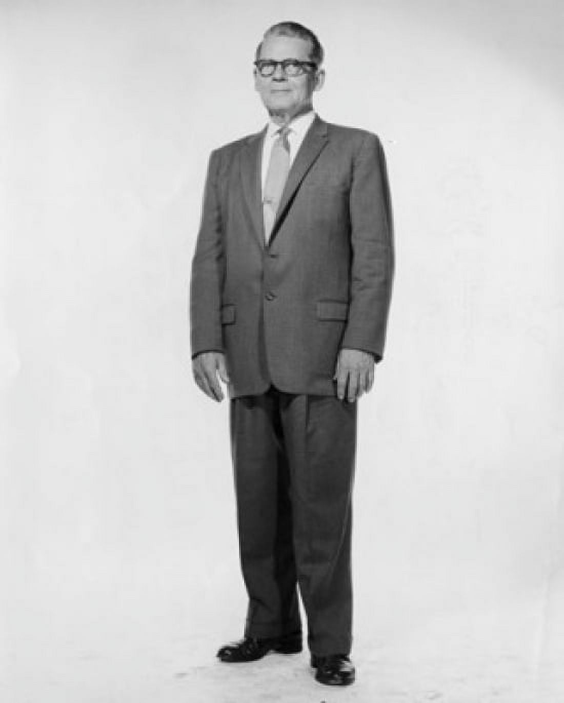 Portrait of senior businessman standing Canvas Art - (24 x 36)