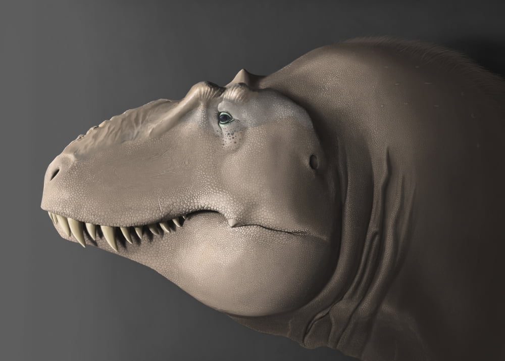 Portrait of the head of a Lythronax dinosaur Canvas Art - Michele DessiStocktrek Images (33 x 24)