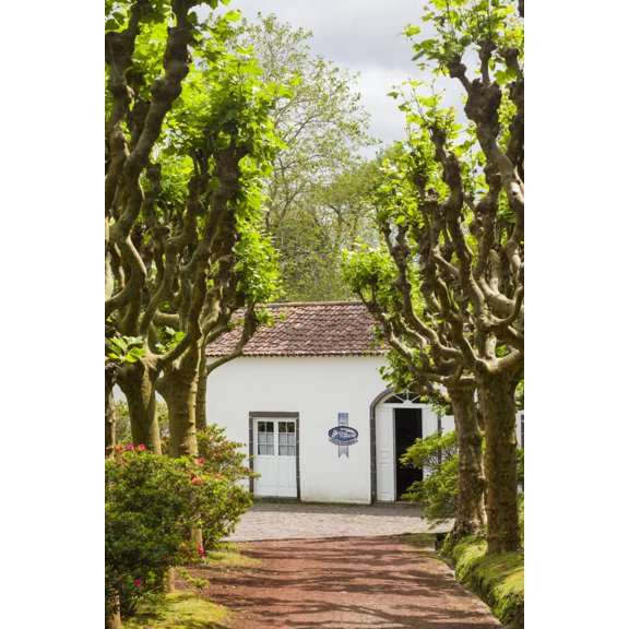Portugal, Azores, Sao Miguel Island, Gorreana. Cha Porto Formoso tea factory exterior Poster Print by Walter Bibikow (18 x 24)