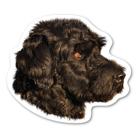 Portuguese Water Dog Magnet