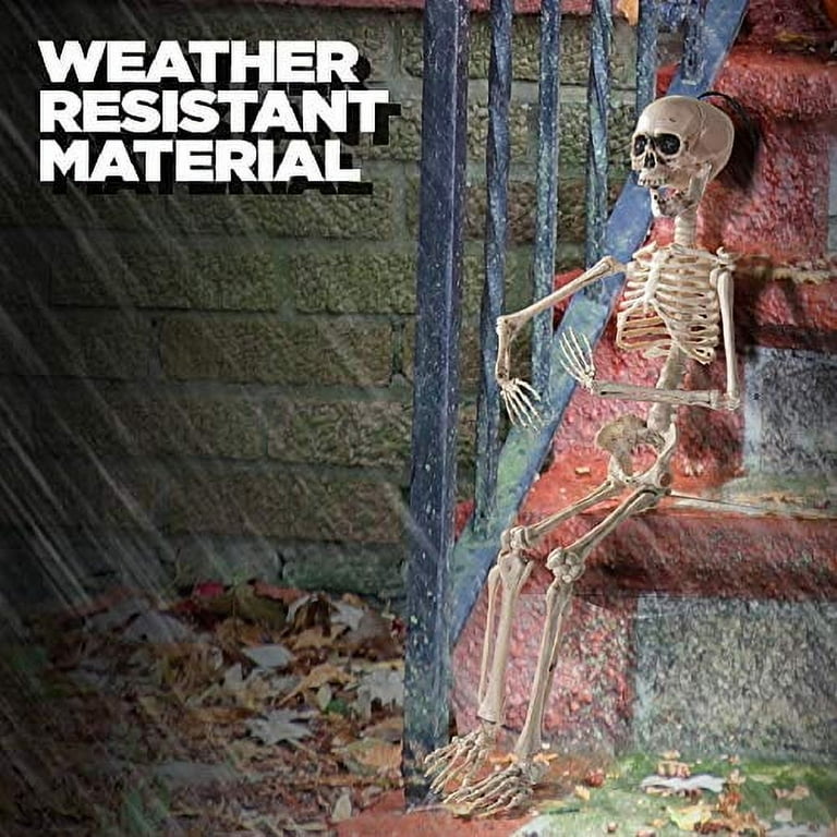 Posable Halloween Skeleton- Full Body Halloween Skeleton