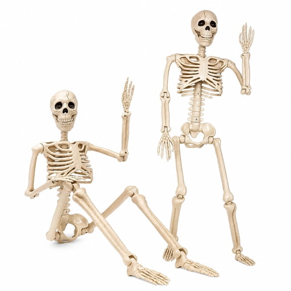 Posable Halloween Skeleton Props 36 Inch 8 Jointed Plastic 2 Pack