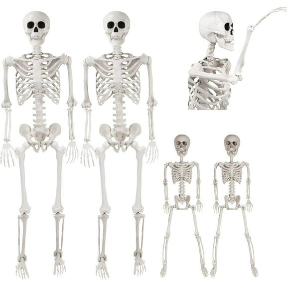 Posable Life Size Human Skeleton Family 4pk- 2 Adult (5'4") & 2 Children (2')- Indoor & Outdoor Prop Decorations w Bending Articulated Bones