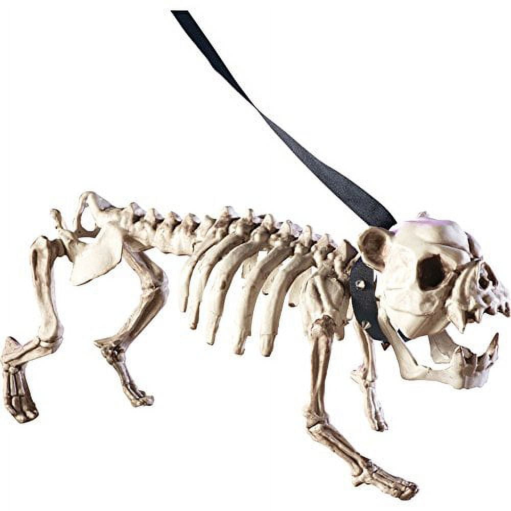 Posable Skeleton Dog Halloween Decoration, White