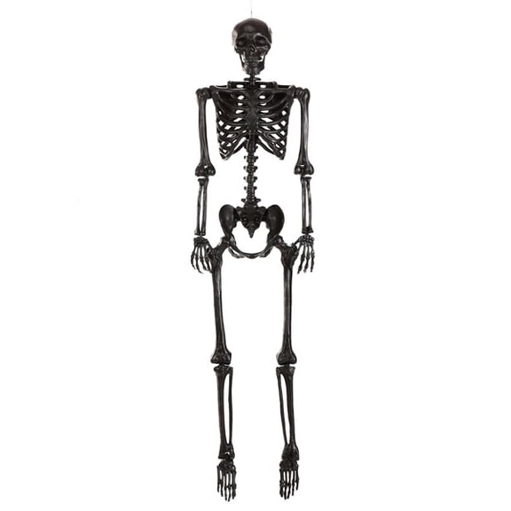 Poseable Crazy Bones Skeleton in Black Halloween Prop