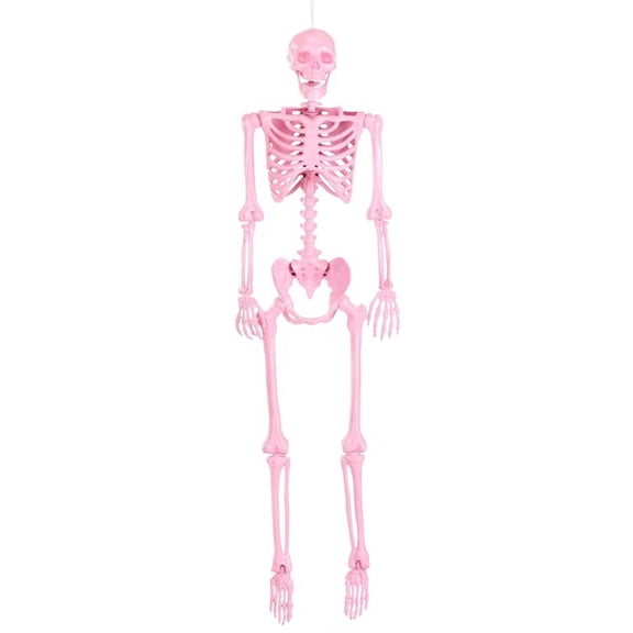 Poseable Crazy Bones Skeleton in Pink Halloween Prop