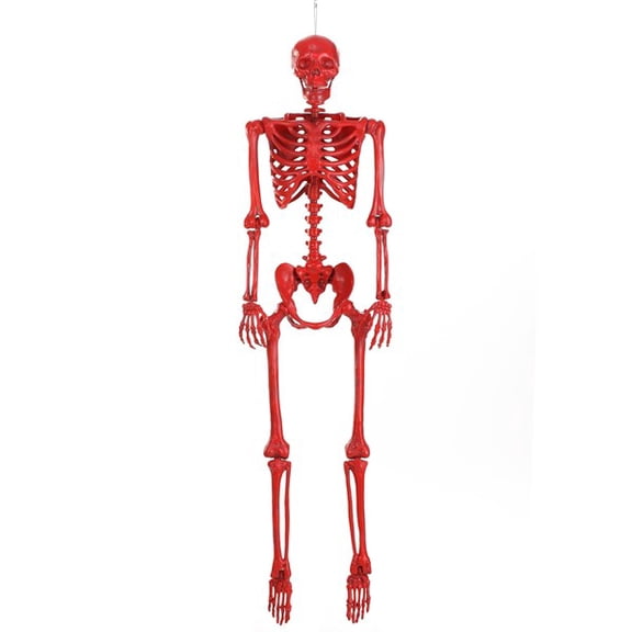 Poseable Crazy Bones Skeleton in Red Halloween Prop
