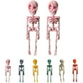 thumbnail image 1 of Poseable Skeleton Fridge Magnet, 2PCS 3D Mini Skeletons with Movable Joints Fridge Magnets, Multi-Colors Skull Decor, Funny Goth Human Skeleton Magnetic Accents for Refrigerator, Kitchen,Pink, 1 of 16