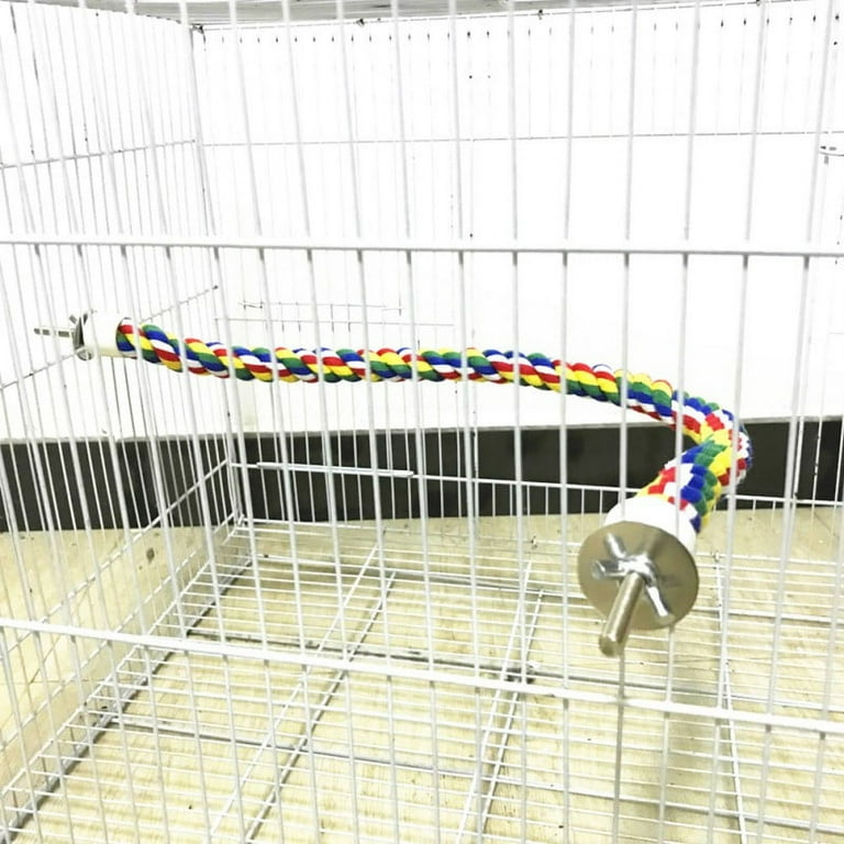 Bird bungee hotsell