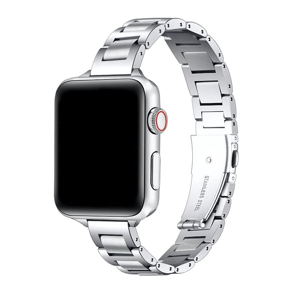 Posh Tech Lenox Stainless Steel Apple Watch Band, Silver
