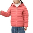 thumbnail image 1 of Posijego 3-16T Girls Boys Puffer Jacket Hooded Zip up Warm Lightweight Winter Coat Kids Outerwear Solid Color, 1 of 6