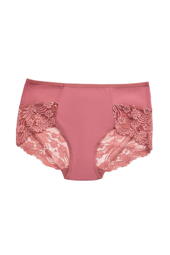 Plus Size Underwear for Women Lace Bikini Panties High Waist Stretch Comfortable Breathable No Show Briefs