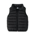 thumbnail image 1 of Posijego Winter Puffer Vest for Kids Boys Girls Solid Color Zip Up Sleeveless Down Jacket Toddler Warm Outerwear, 1 of 6