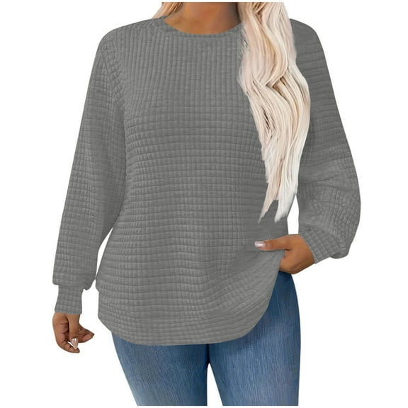 Posijego Women's Plus Size Sweatshirts Fashion Fall Long Sleeve Crew Neck Pullover Sweatshirt Tops