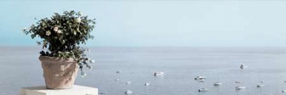 Positano Pano - 2 Canvas Art - Alan Blaustein (12 x 36)