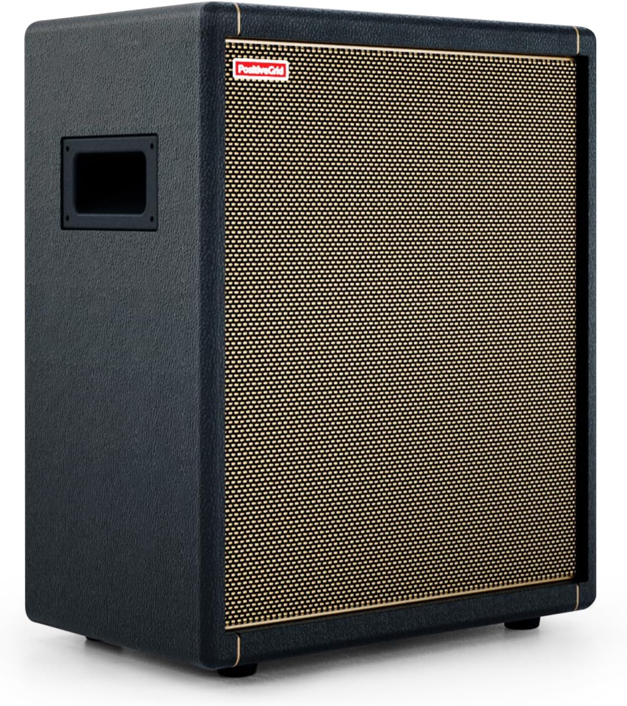 Positive Grid Spark CAB Powered Guitar Amp Speaker for Spark