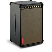 Positive Grid Spark LIVE 4-Channel Smart Amp & PA System