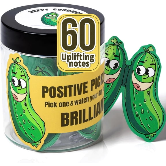 Positive Pickle Affirmation Cards Jar,60 Daily Affirmations, Emotional Support Pickle with Positive Messages, Encouragement Present for Women, Teens,girls,and