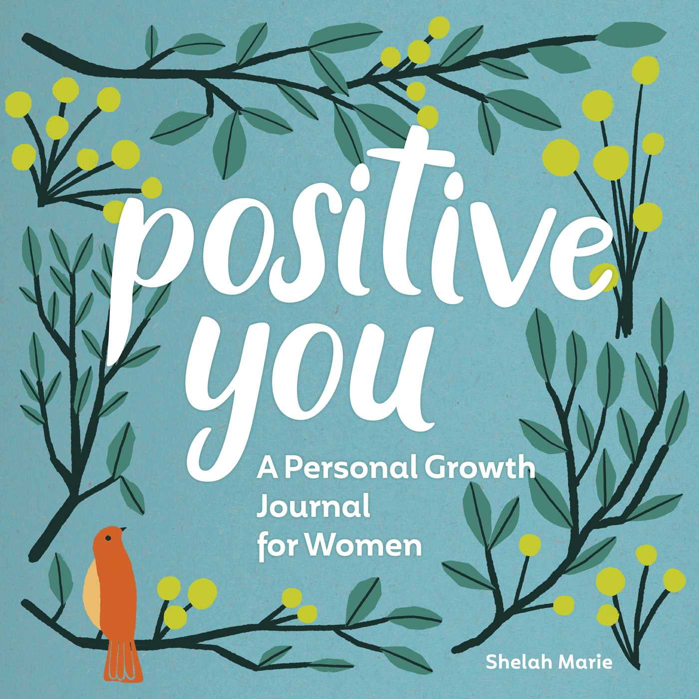Positive You : A Personal Growth Journal for Women (Paperback 