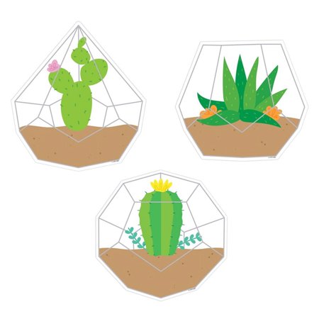 Positively Plants Terrariums 6" Designer Cut-Outs, Pack of 36 | Bundle of 10 Packs