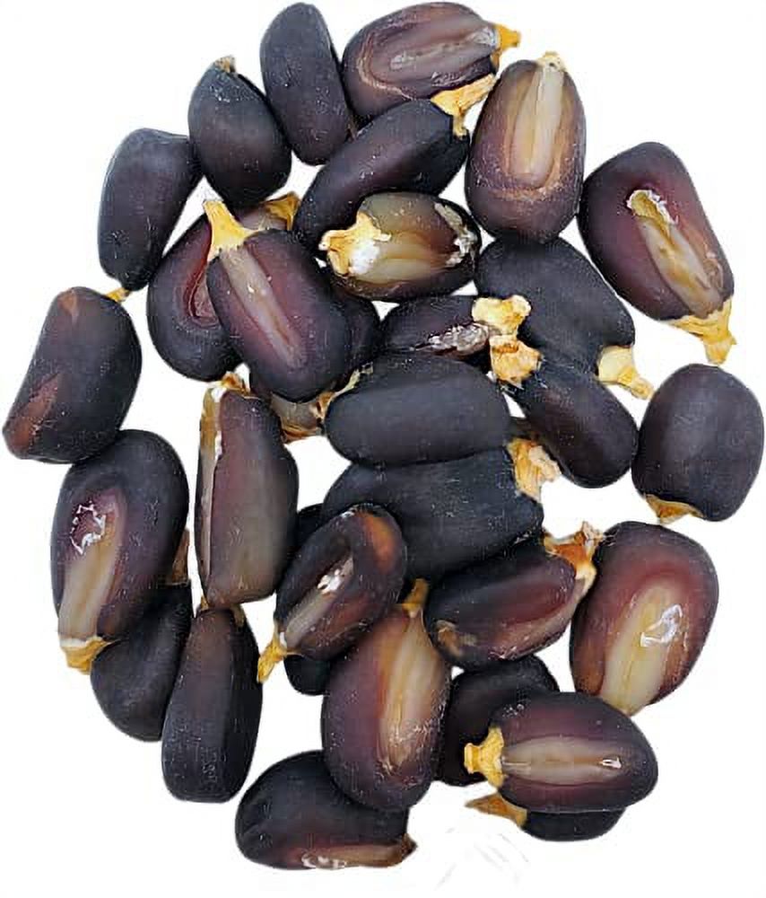 Posole/Hominy (2 Lb) Blue Corn