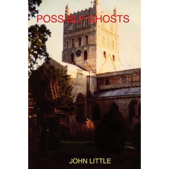 Possibly Ghosts (Paperback)