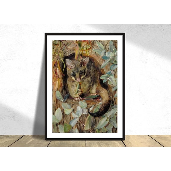 Possum Up A Gum Tree Marianne North Animal Poster Home Office Decoration Wildlife Bird, Unframed Paper Poster 8x10in