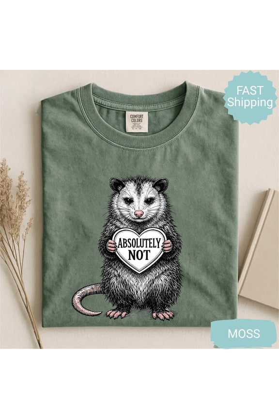 Possum Valentine Shirt Funny Valentines Day Tee Opossum Meme Shirt Animal Tee Possum Lover