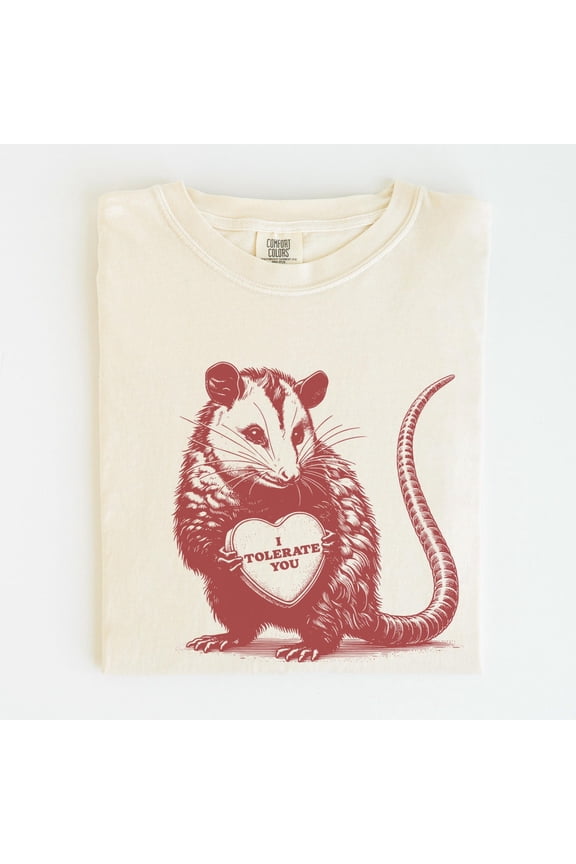 Possum Valentines TShirt Funny Valentine Shirt I Tolerate You Opossum Meme Shirt Animal He