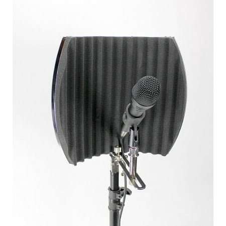 Post Audio D-OneEleven Dynamic Mic with ARF-12 Vocal Booth