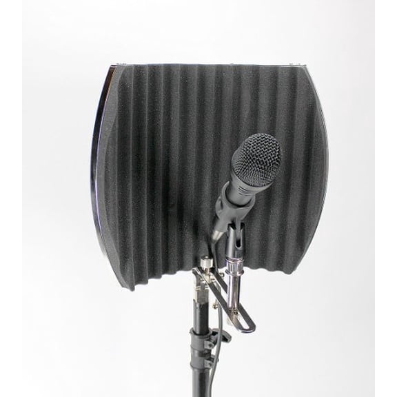 Post Audio D-OneEleven Dynamic Mic with ARF-12 Vocal Booth