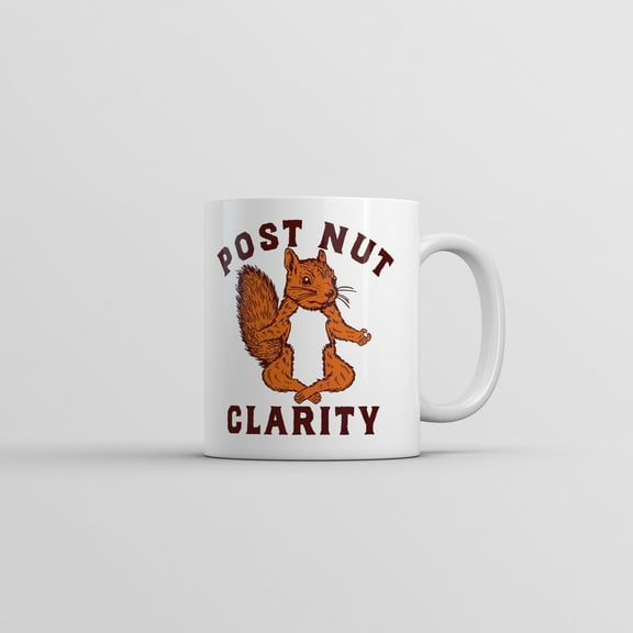 Post Nut Clarity Mug Funny Sarcastic Squirrel Graphic Novelty Coffee Cup