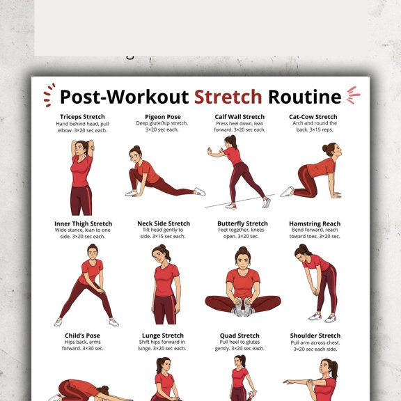 Post Workout Full Body Stretch Cool Down Exercises Home Gym Routine Poster