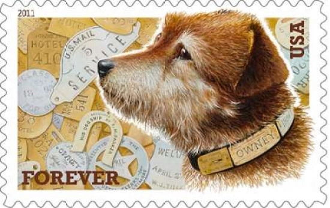 Postal Dog Owney Canvas Art - US POSTAL SERVICE (24 x 36)
